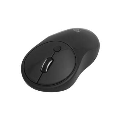 Frisby FM-252WM 1600Dpi Usb Kablosuz Siyah Optik Mouse - 2